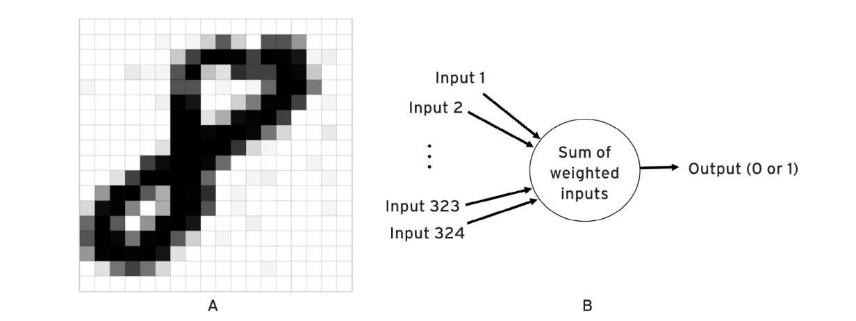 Pixel grid mapped to neuron inputs